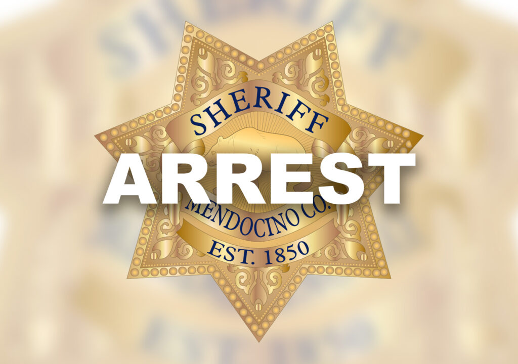 arrest logo